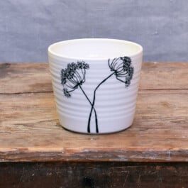 Julia Winter Porzellan